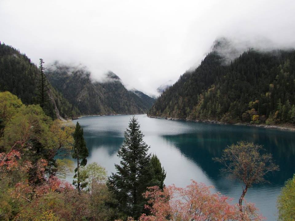 14570494_10153995474938601_5163479510388014363_n1