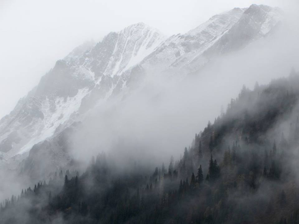 14572805_10153995455738601_8189430825083917772_n1