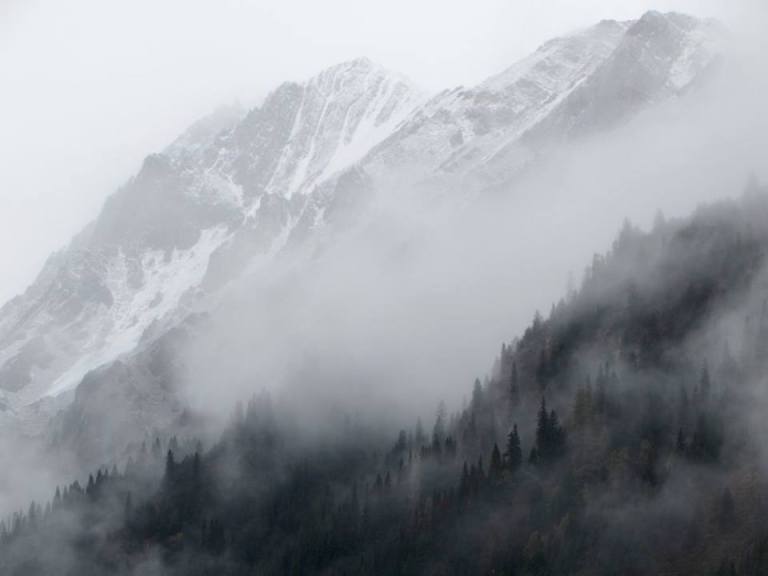 14572805_10153995455738601_8189430825083917772_n1