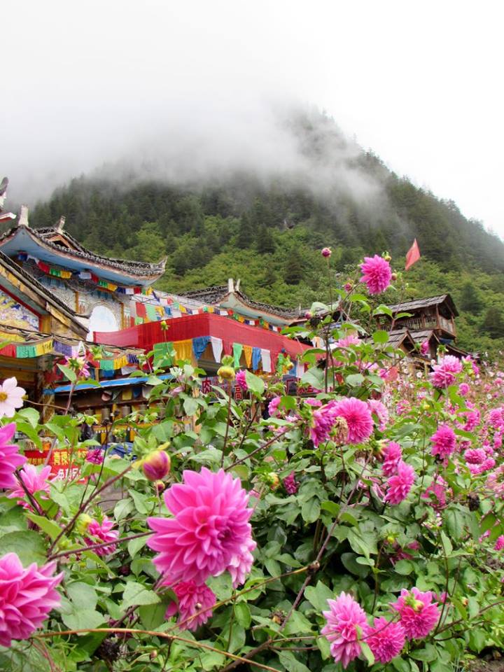 14642012_10153995453923601_7345790659251399906_n1