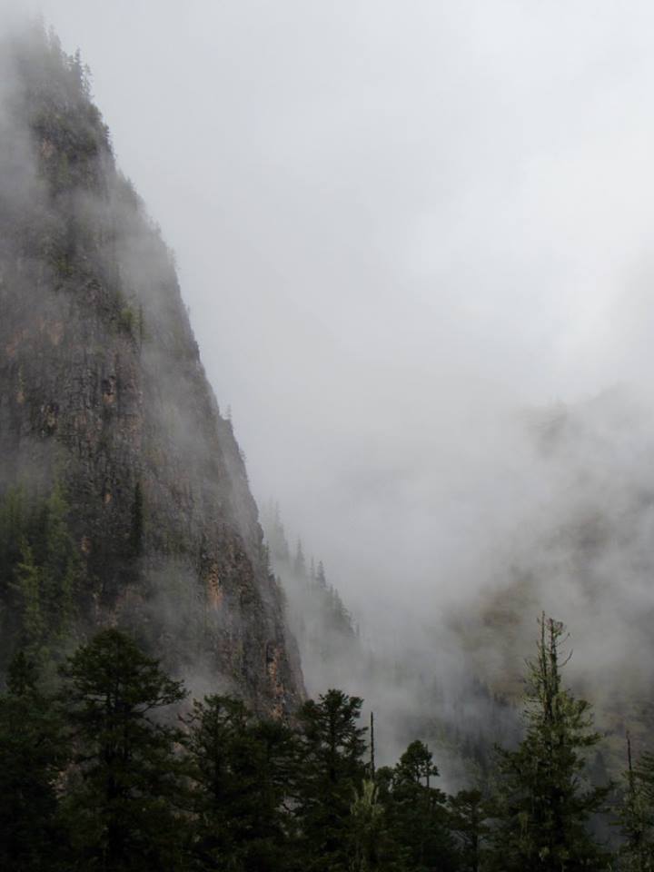 14650454_10153995455618601_2018696848520487304_n1