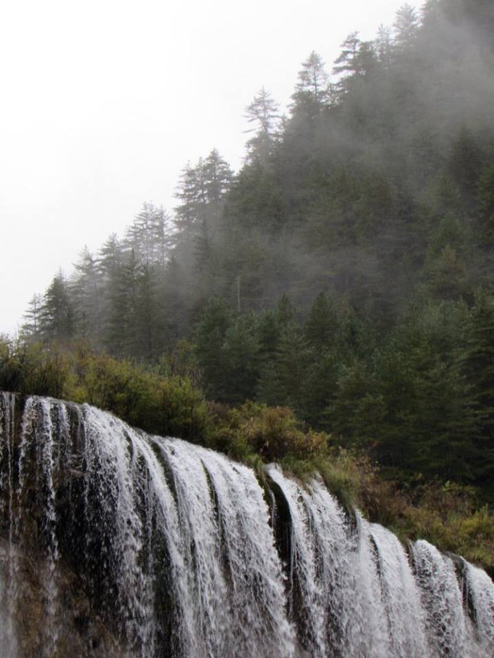 14650457_10153995453333601_4397038142124778675_n1