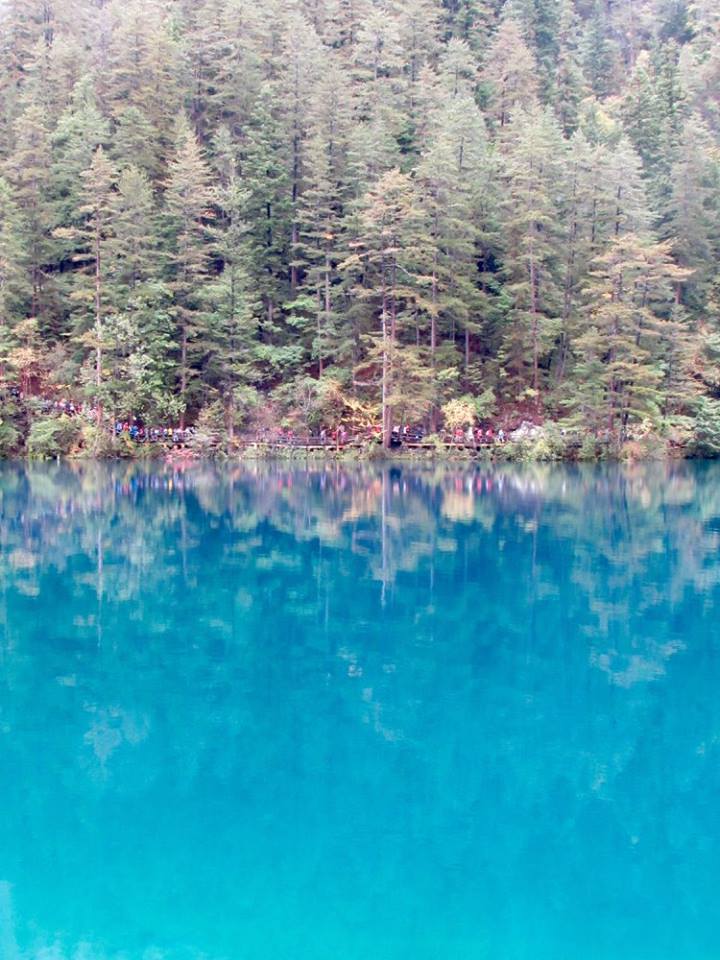 14650498_10153995455148601_5071358046073464474_n2