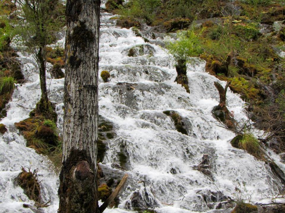 14650733_10153995451608601_2945407268657382660_n1