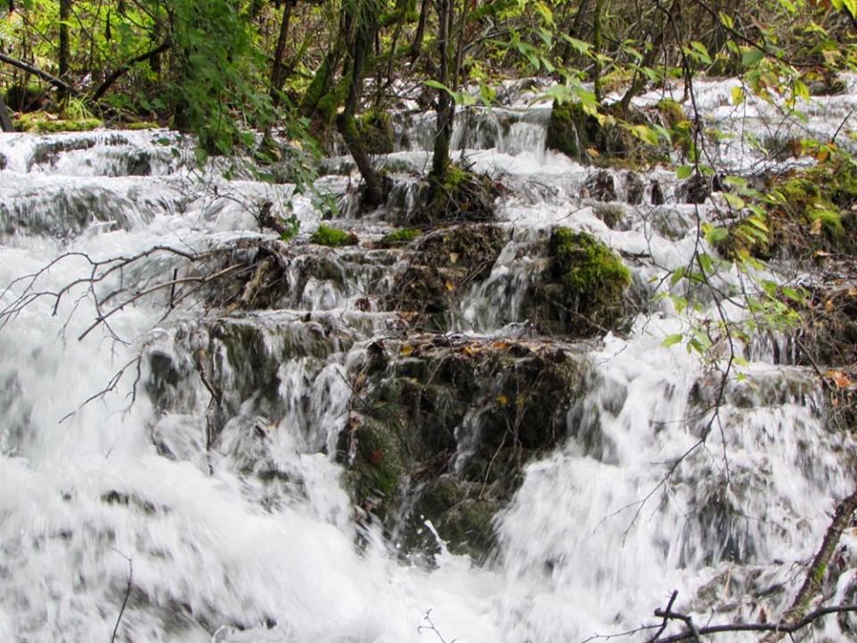 14666306_10153995451038601_2892082807269616174_n1