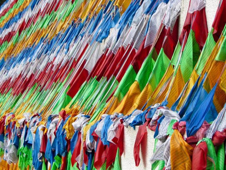 14671198_10153995446338601_1876160987387748336_n1