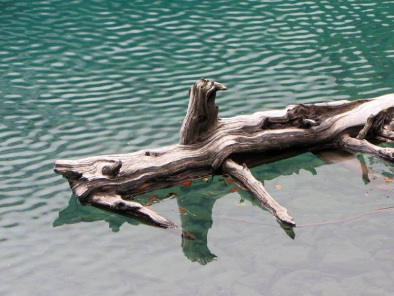 14690836_10153995475293601_4440731203162287088_n2