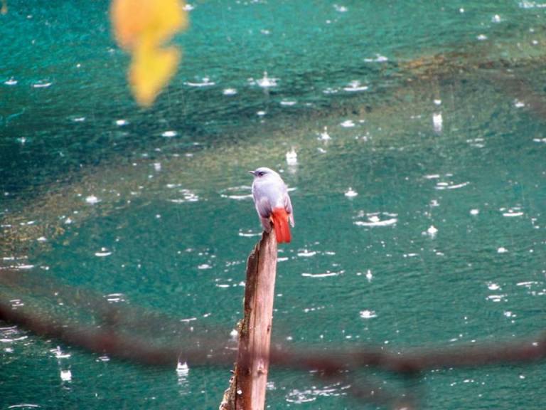 14702362_10153995457408601_6216734568342650672_n1