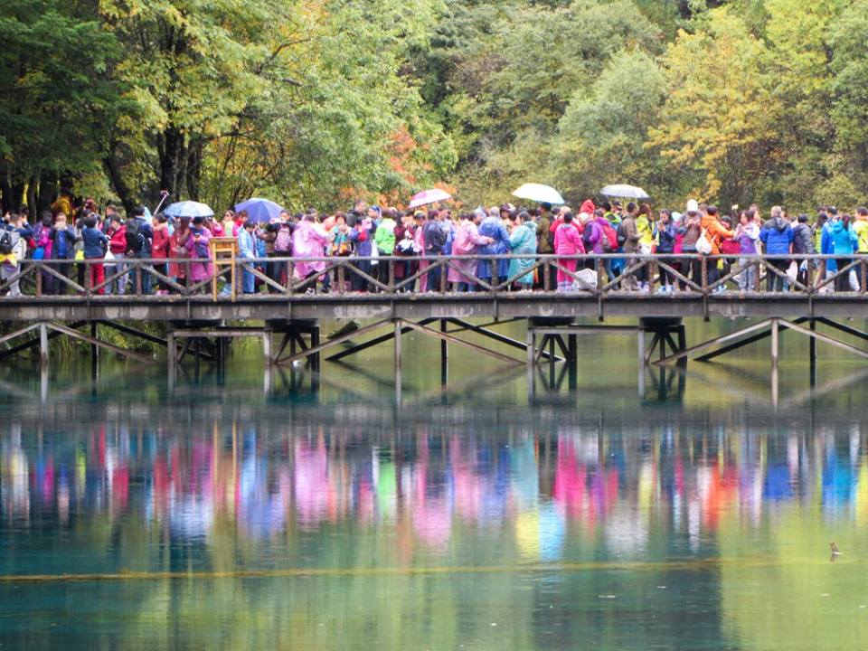 14708228_10153995464418601_5796930742872367865_n1