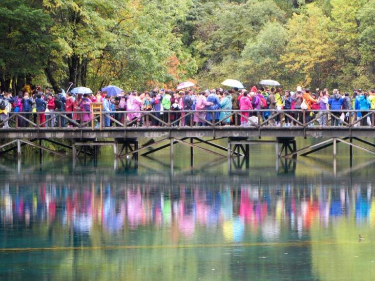 14708228_10153995464418601_5796930742872367865_n1