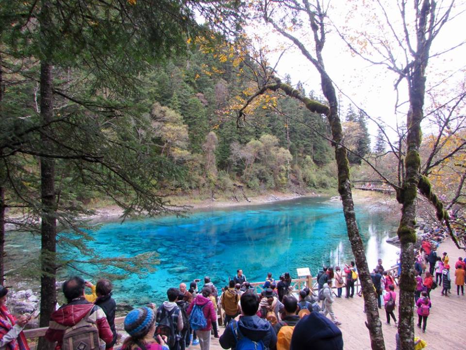 14720326_10153995476243601_6031443512930939240_n1