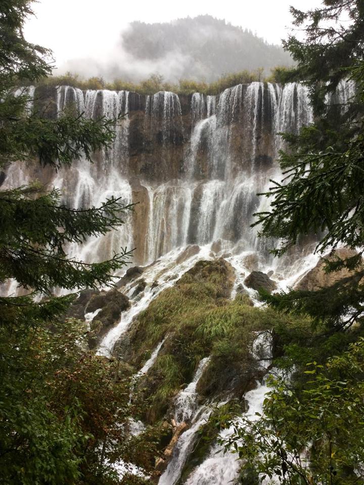 14720339_10153995439413601_2848175912080244998_n1