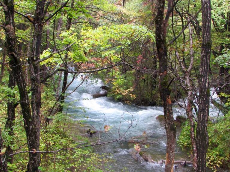 14729388_10153995448128601_5782398329067115452_n1