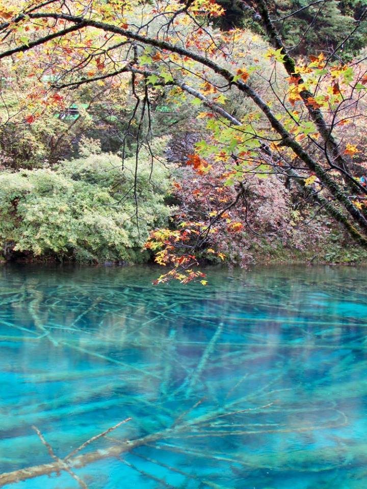 14731095_10153995458328601_1893088257156751491_n1