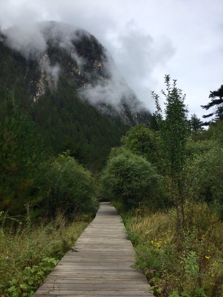 14732156_10153995437143601_852856196814181754_n1