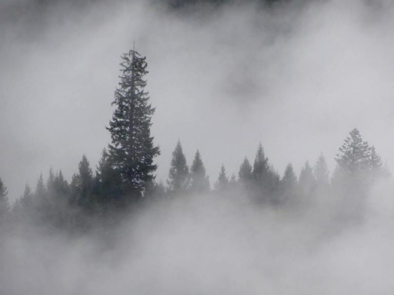 14732314_10153995453583601_5315564720320603535_n1