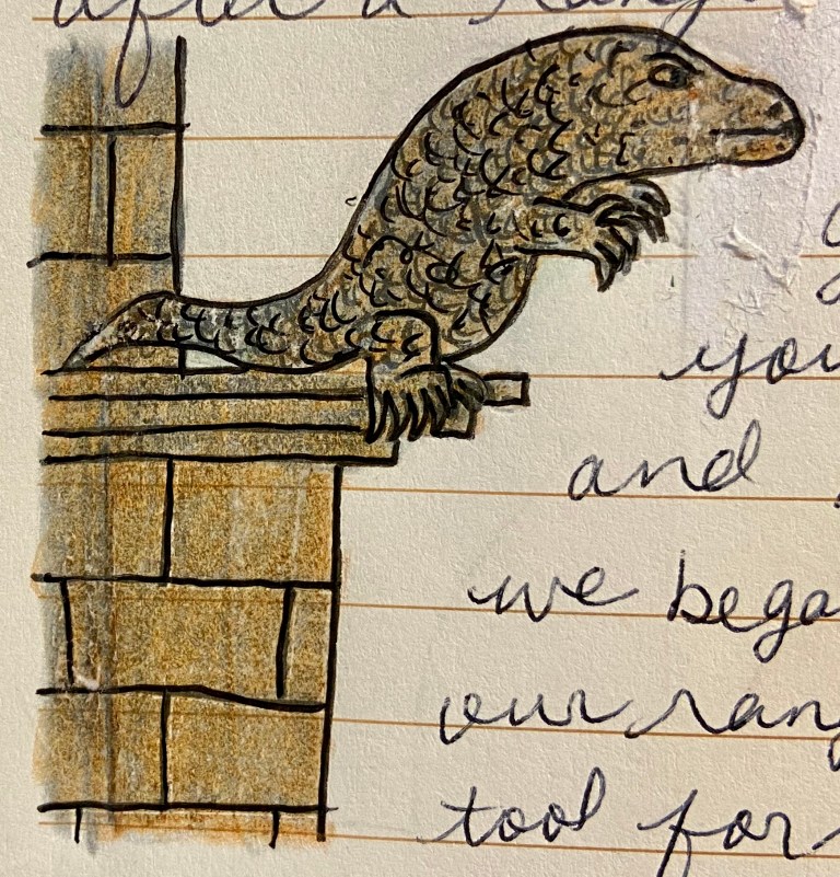 E478F168-E248-46C0-9275-FF335FA3BFF6