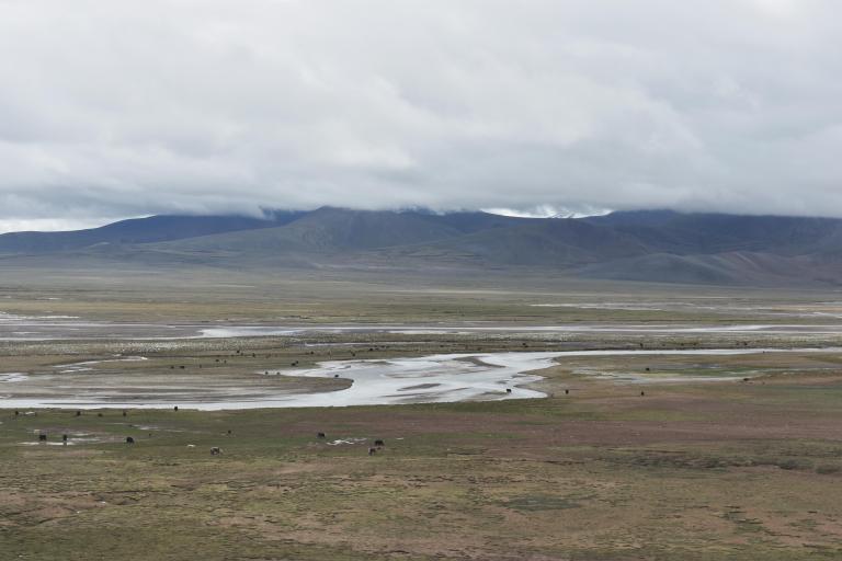 087C2CCA-E407-4BD0-ABA1-8A906AB37D17