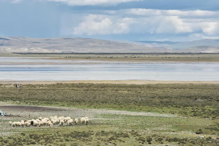 0BCB600C-8318-40F2-BF9B-2E5312FDEA9F