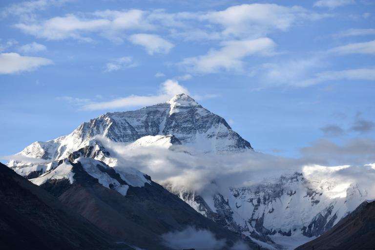 0C848CDA-4D1D-45AF-8154-AD68BF9E0E20