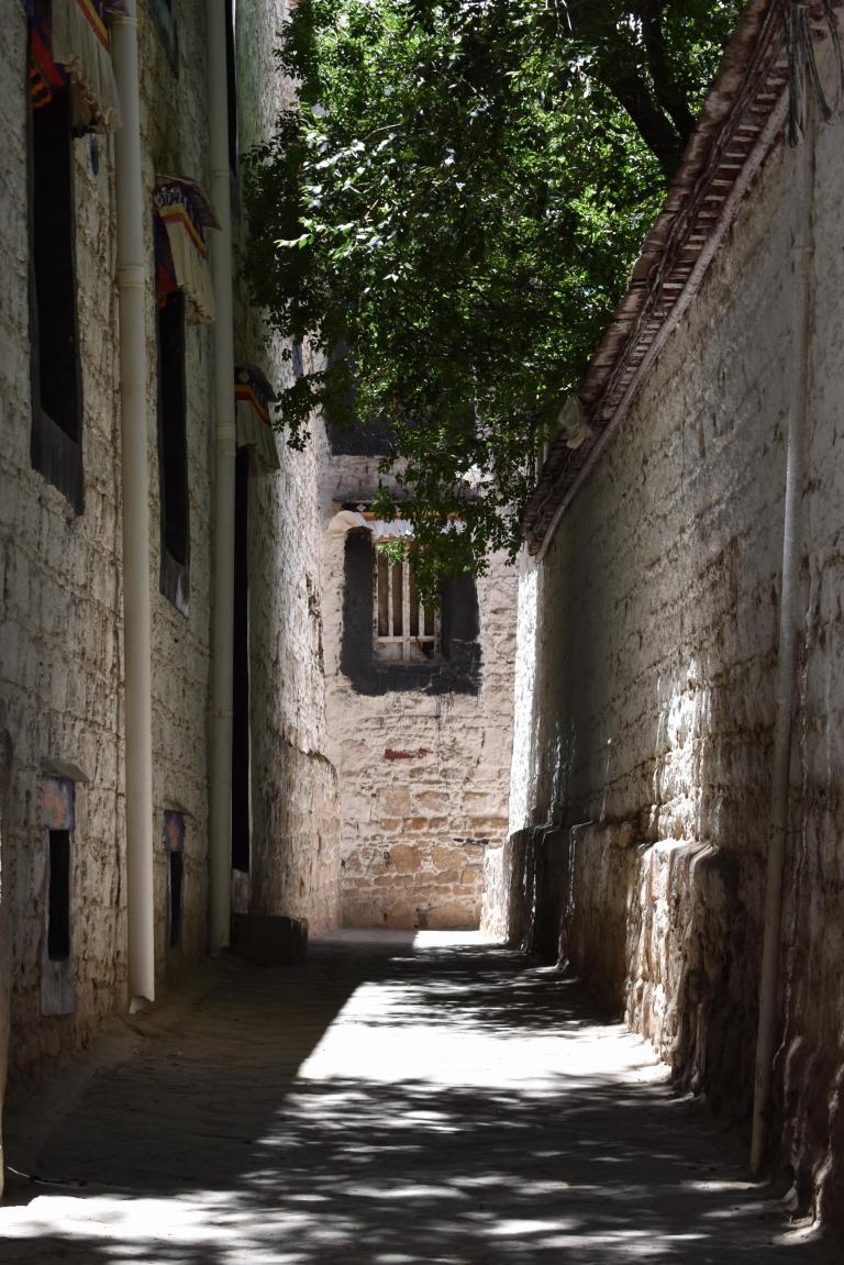 196CE50E-8B14-482F-A48F-9D072BE109CE