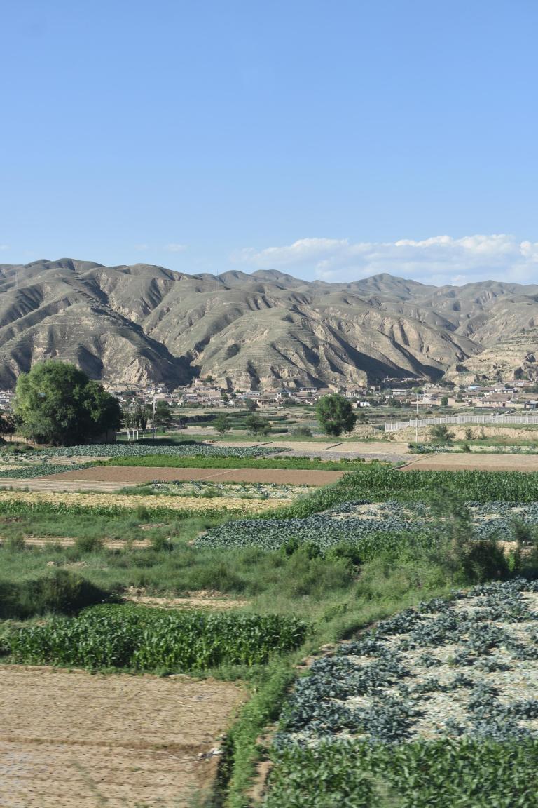 21D9C1F9-1684-423E-AD5A-5AAA68ACC10E