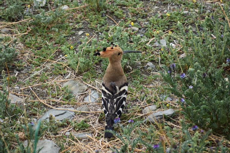 3F164C0E-3F5C-4233-A4DE-1524BB438457