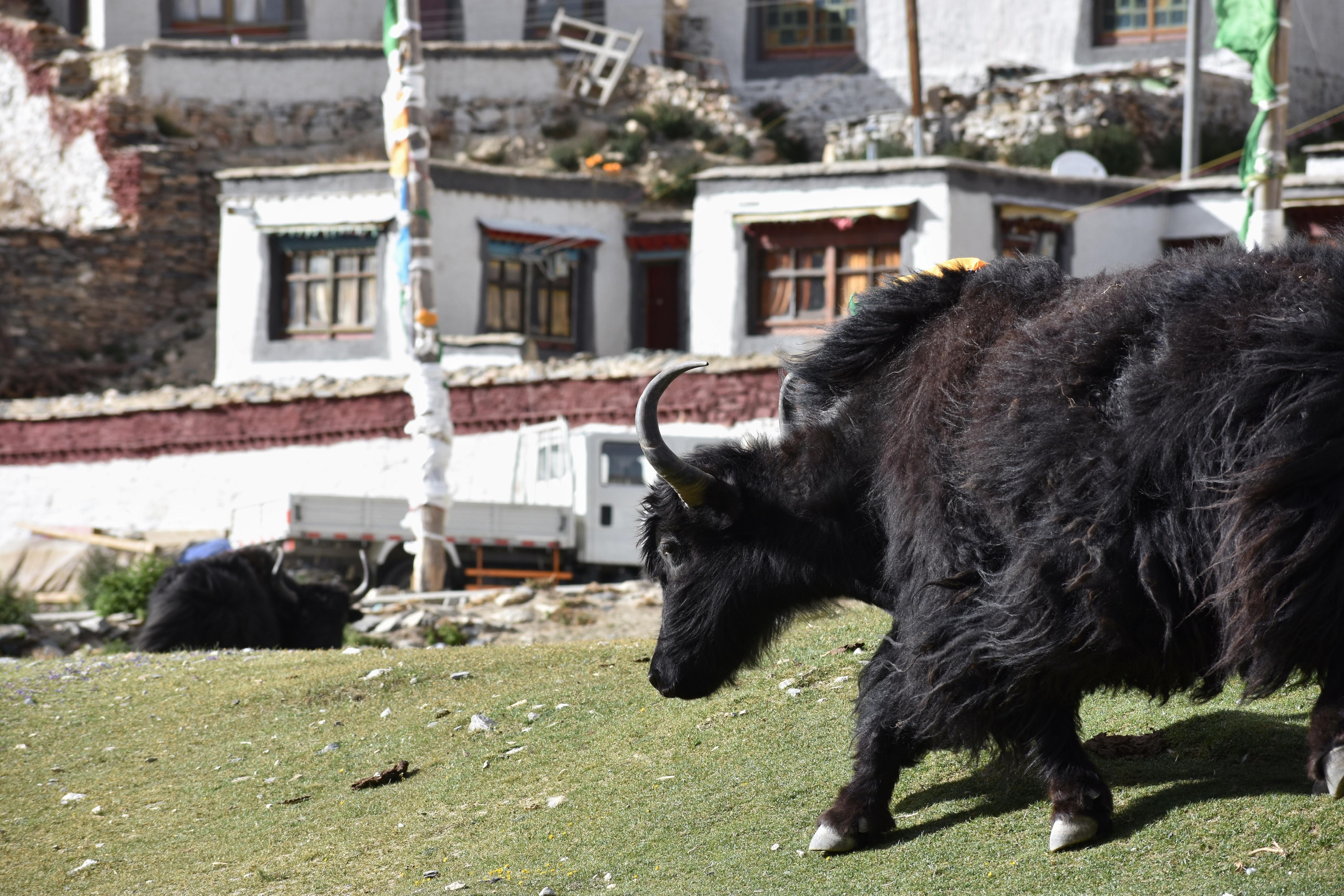 414D0268-00B1-4D79-9C48-87054650CA37