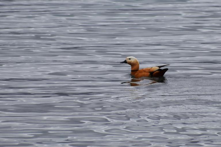 4F282A23-9210-461A-BD07-06DEDE9BF2CD