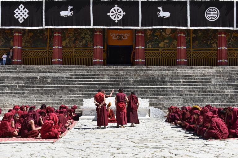 56531E66-138F-4B0C-843C-3295E848FC07