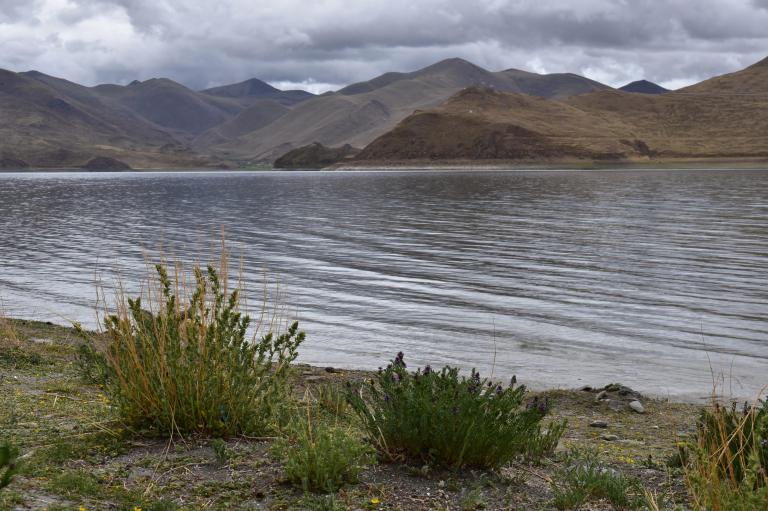 787ACD33-0A40-4F5B-B866-30A46AAC87C6