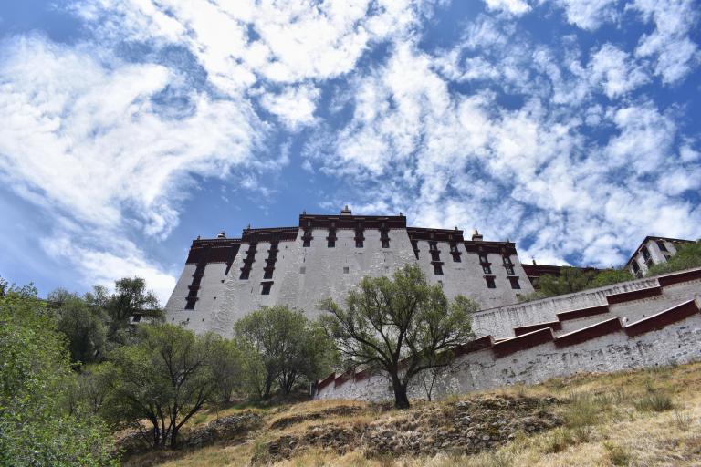 80ADD8F7-EEB3-4CED-BBB8-D5818BE5A957