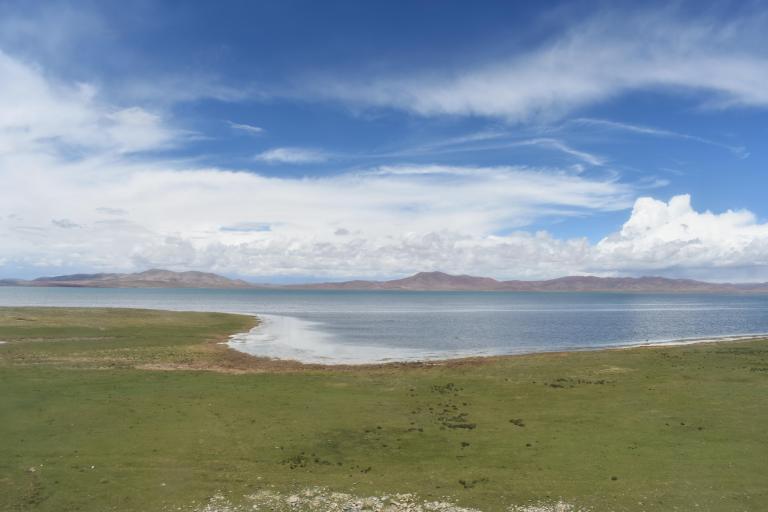 8C49FFA5-AF43-482A-B300-6119A71354B0