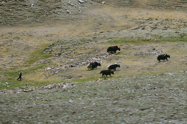 92DF4DEA-67B4-4BD8-9C5E-4B5F49816D80