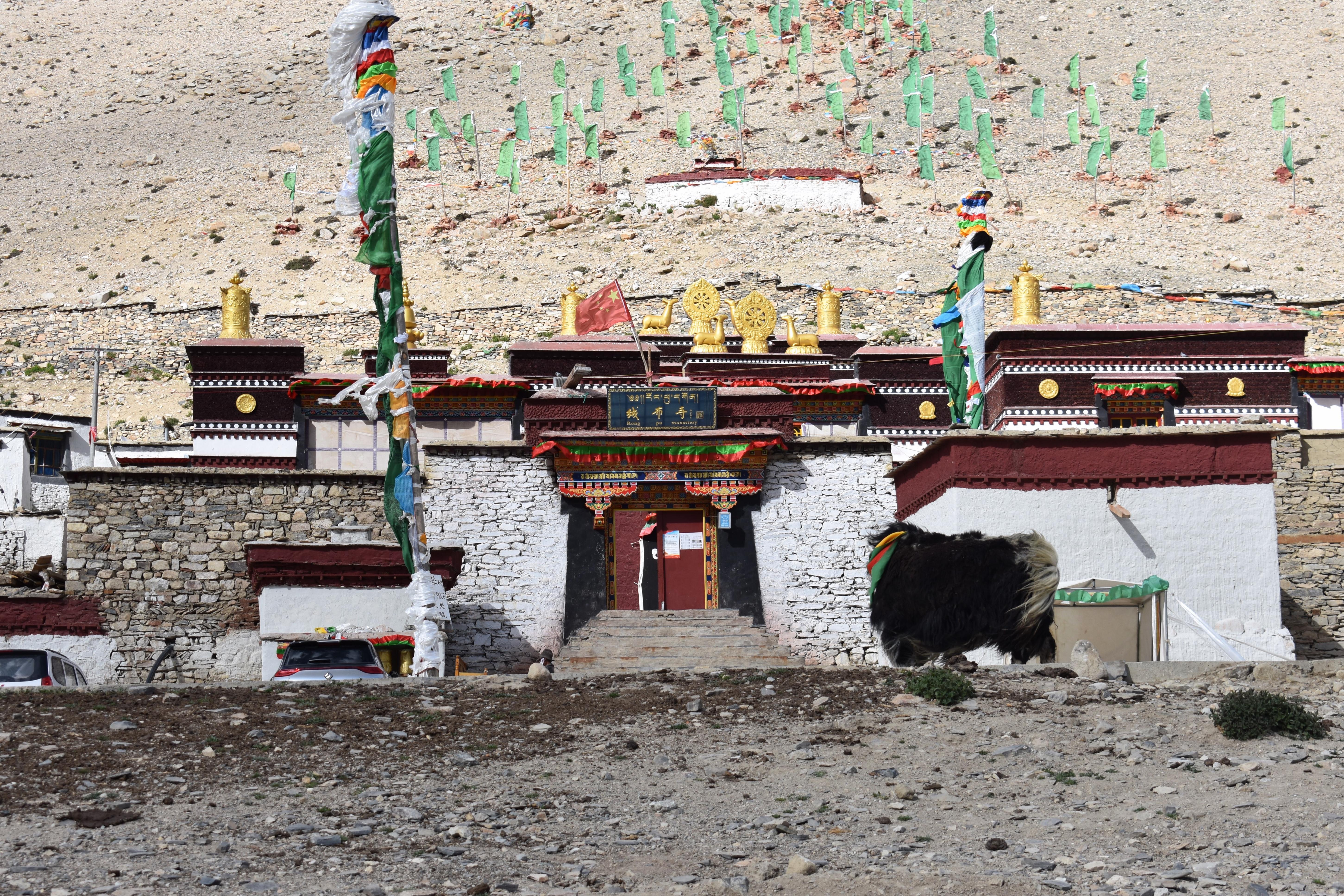 94099F51-66BB-4771-9BD0-7179E21250AA