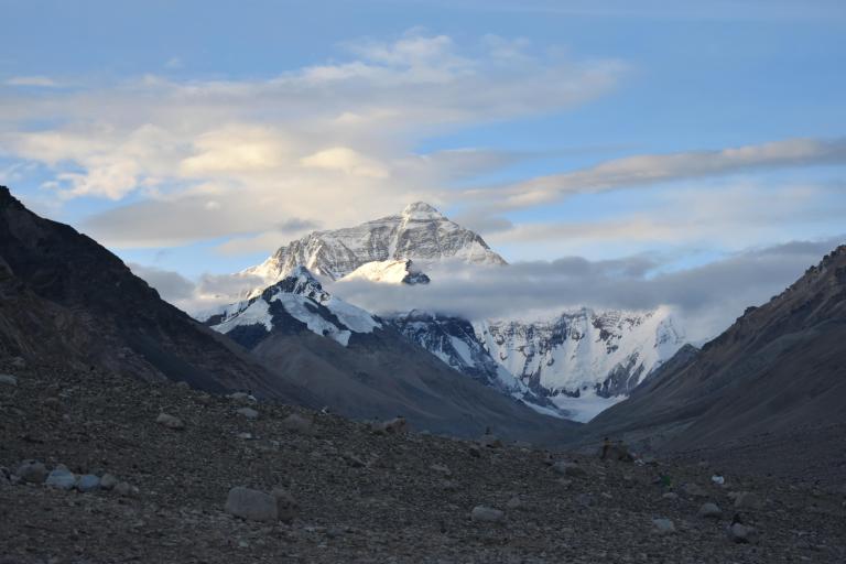 98BEEA41-0B9F-4740-8A12-7DB19F1717A6