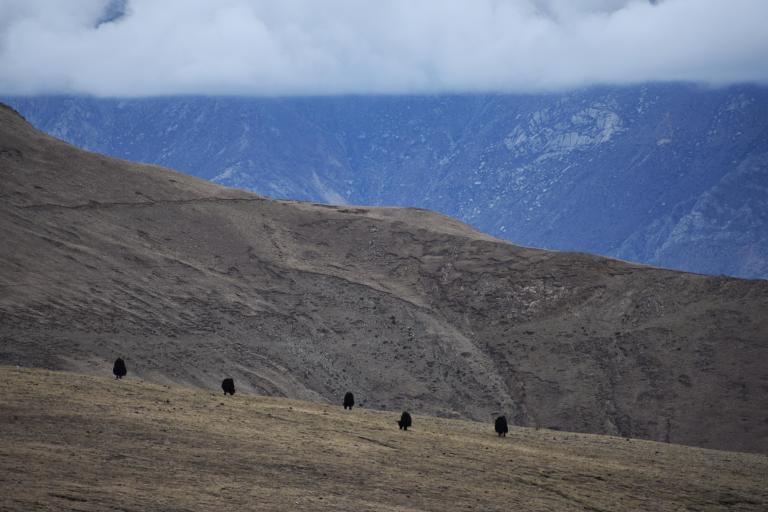 C0F4DAA3-FA14-4E0B-9F96-E3CCFB79A33B