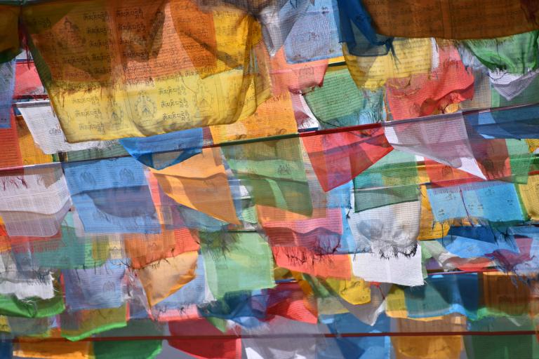 C462EC44-BF4B-45B8-9409-7D8B0509E3FA