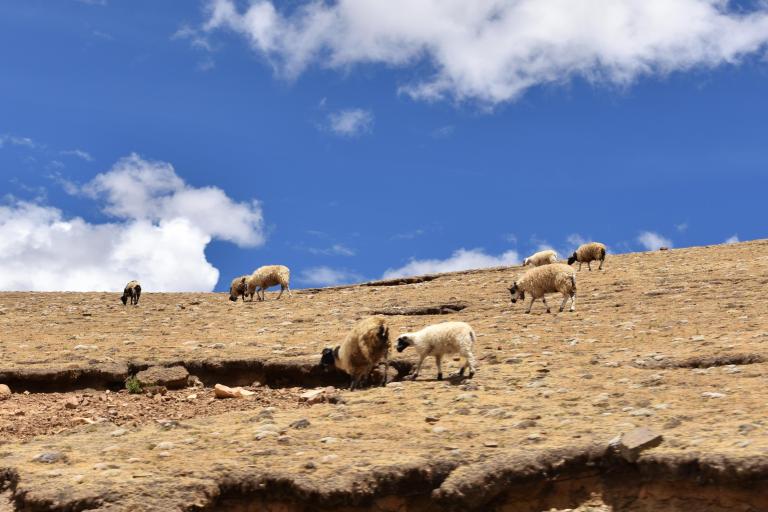 D807B94C-C598-4722-8549-60E3D7E11E08