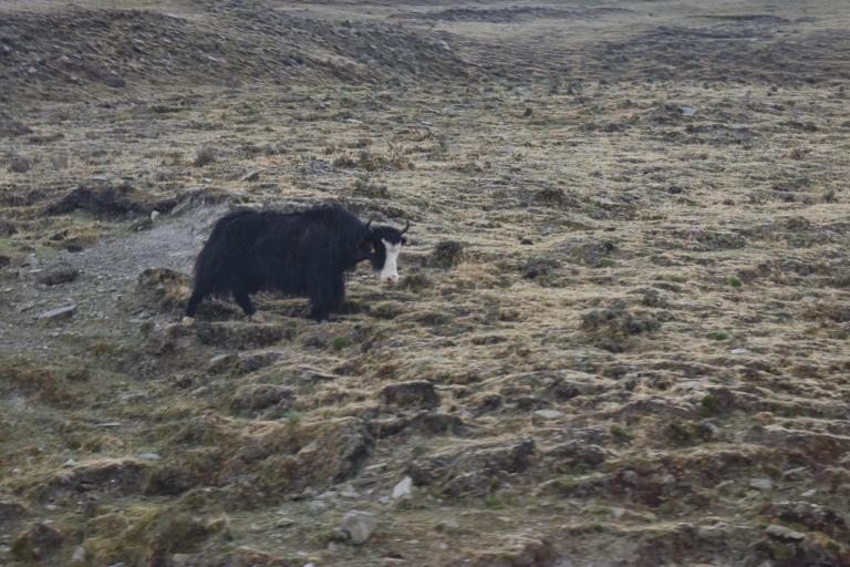 E3528593-35A2-4A1B-A7AB-2253490EBC2C