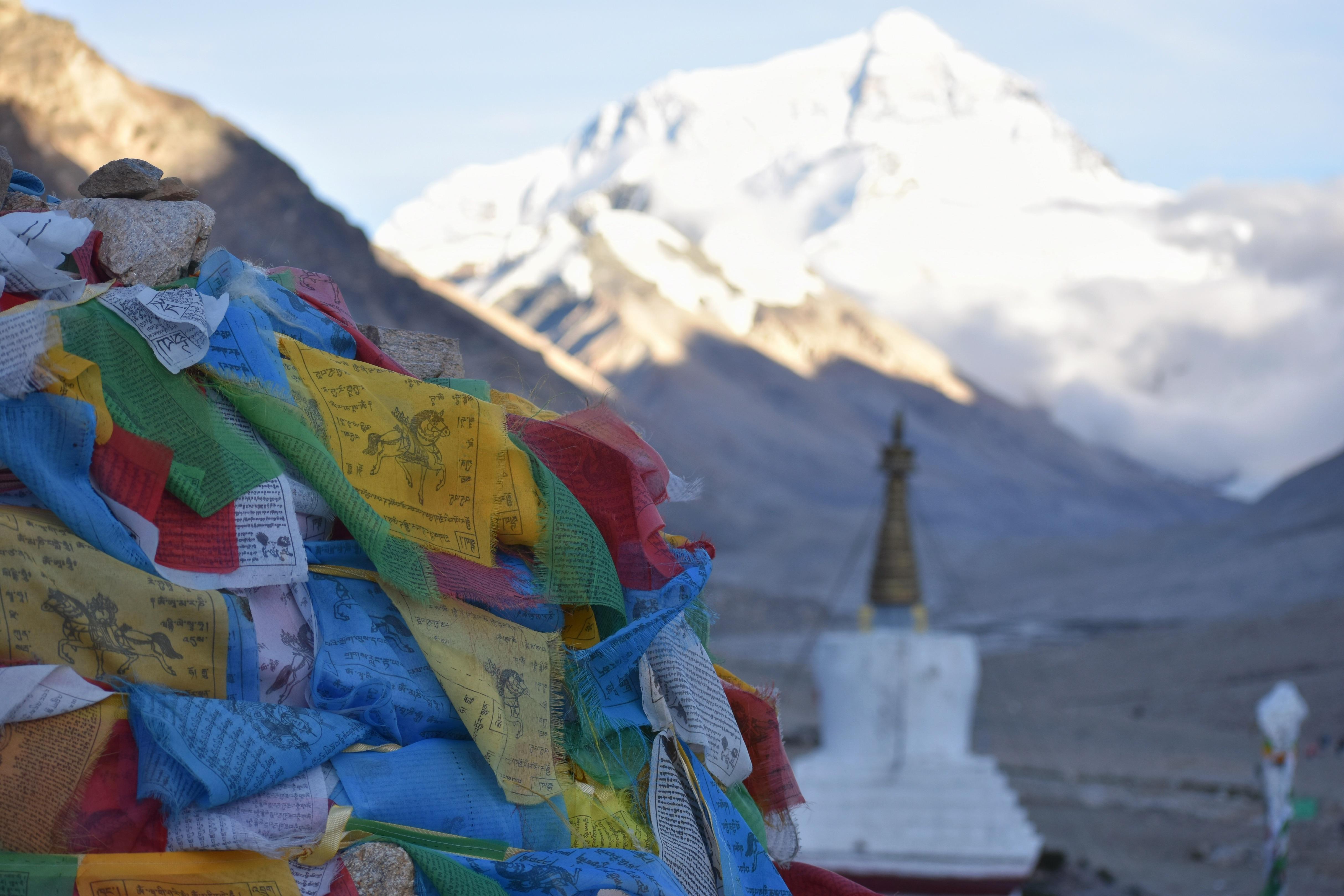 F9F22B5E-90DB-49D0-9693-45E31A8B9EB2