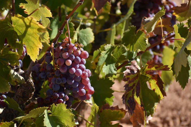 1756FFB2-7E05-42AA-AB71-96087EBF4D29