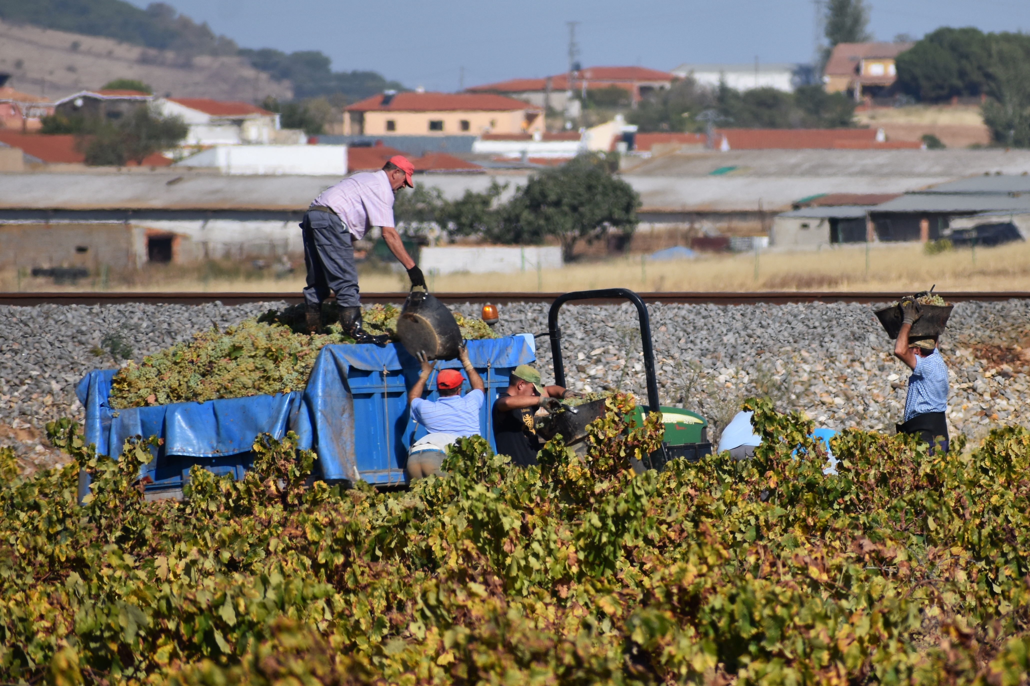 1E498F3A-96D8-494C-88DE-B6E1CCEB5EBA