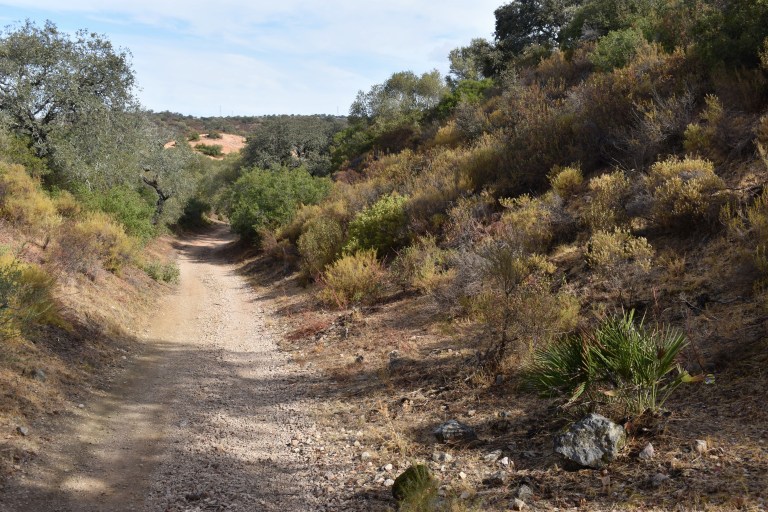 2517BC4C-E699-4957-BB8B-B124F23A9F14