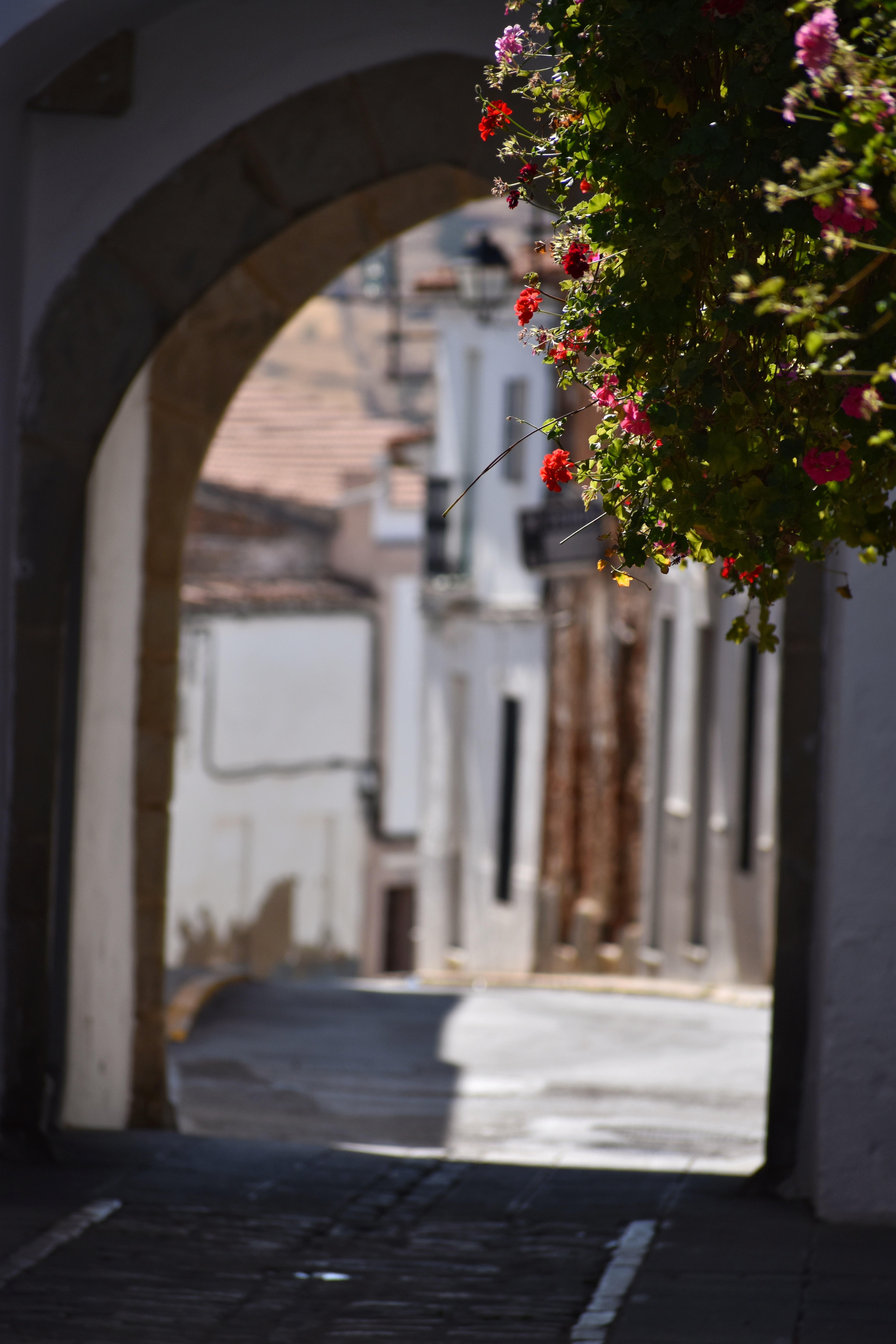 2752BB00-F10B-495B-8E01-95E09F142425