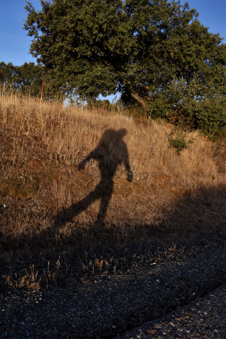 29C199B9-91EA-4B46-80F5-ACEE6B459AAC