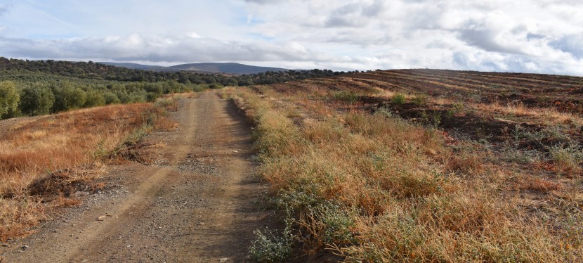 La Vía de la Plata – A Week in&nbsp;Photos
