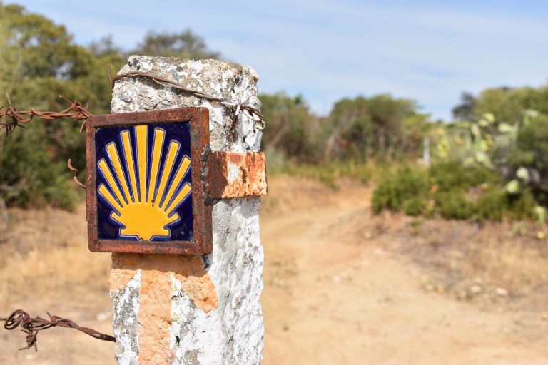 71479677-EA21-479B-BE6A-729D4ECAF29A