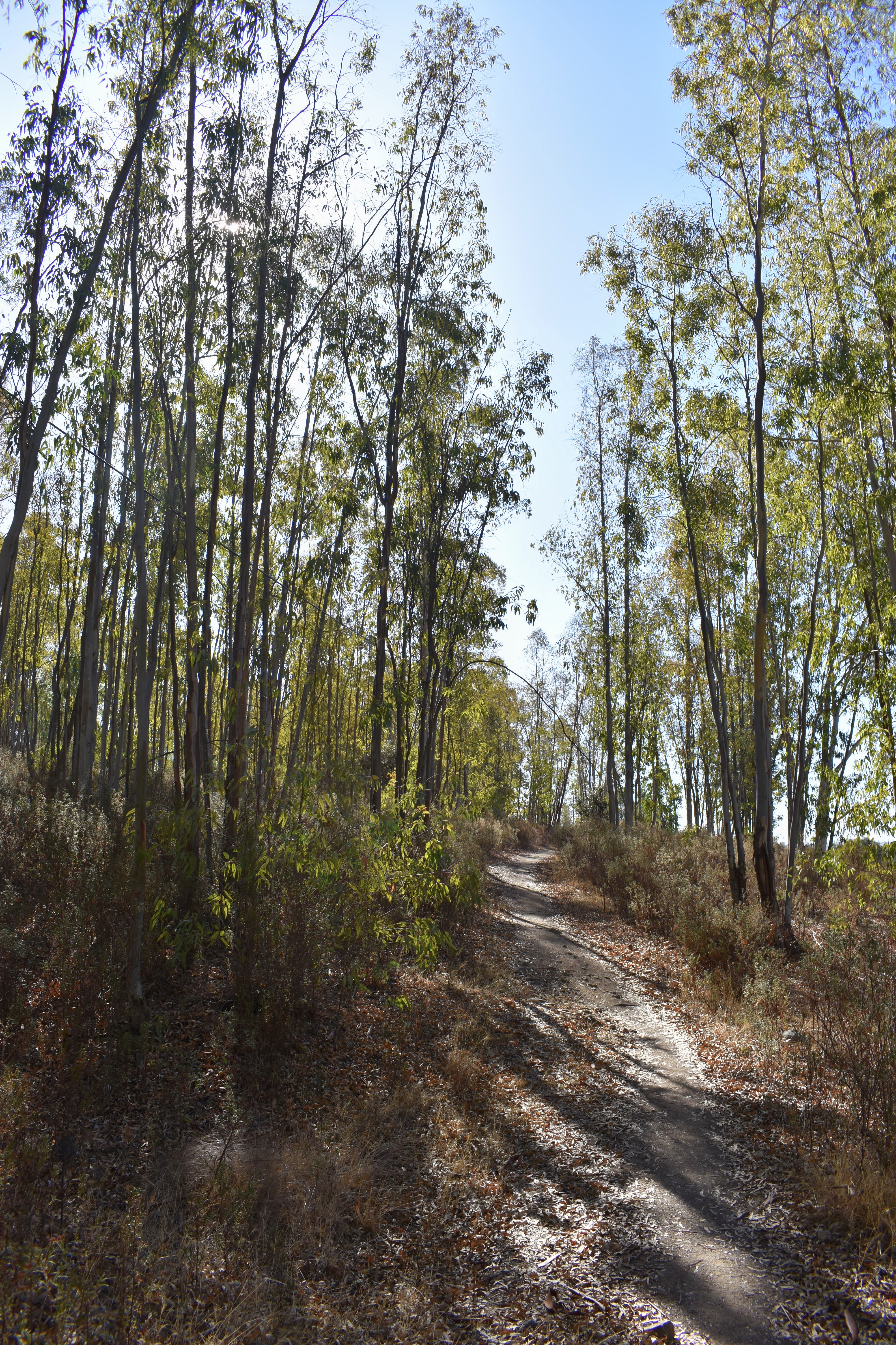 73D7B087-A148-40F5-987F-D0D3A9F09E4C