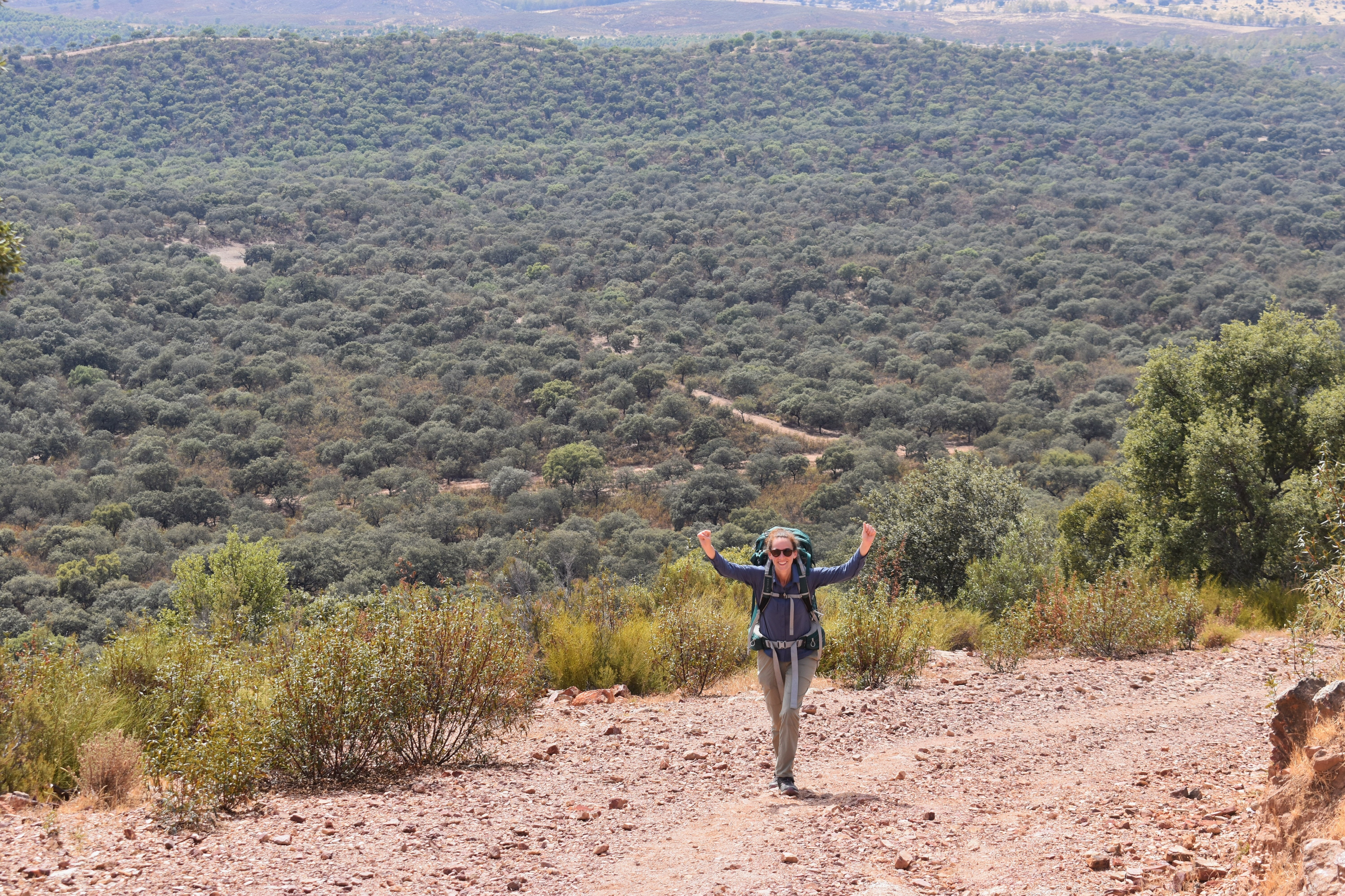 73F35433-AD83-45E8-8AAC-7563A4583899